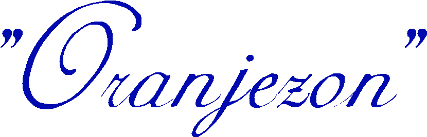 Oranjezon Logo